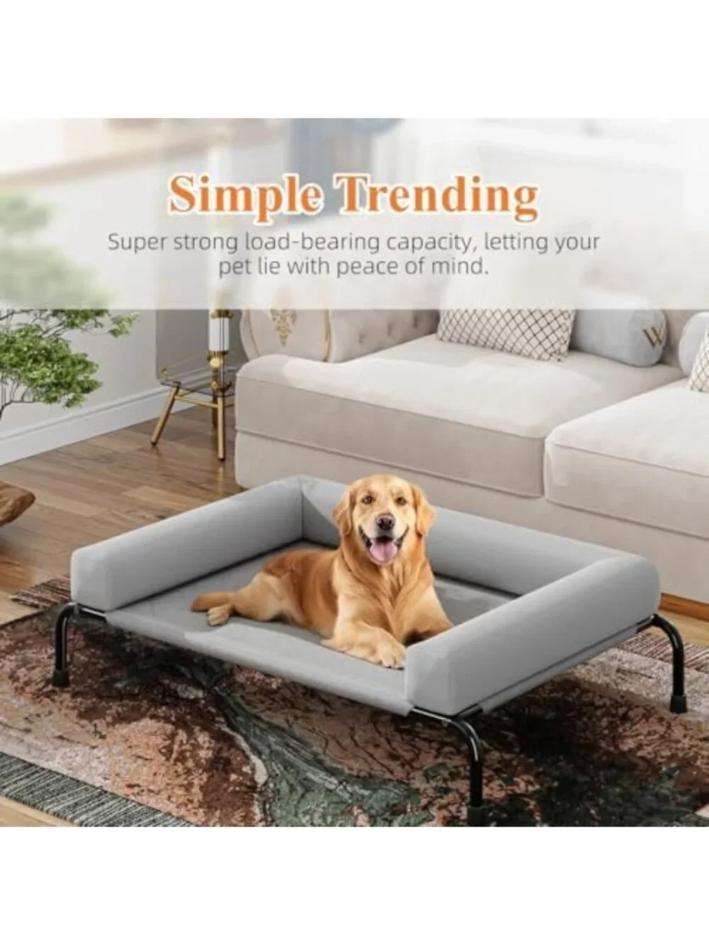 Elevated Grey Dog Bed for Large Dogs with Bolsters - Comfortable & Stylish